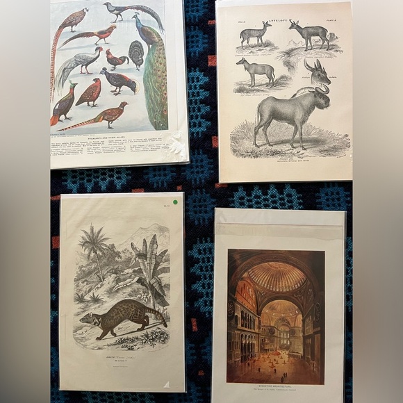 lot of 9 antique/vintage prints ready for framing - Picture 2 of 5